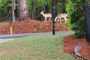 7270 Flowery Branch Rd, Cumming, GA 30041 - Photo 65