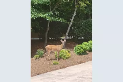 7270 Flowery Branch Road, Cumming, GA 30041 - Photo 47