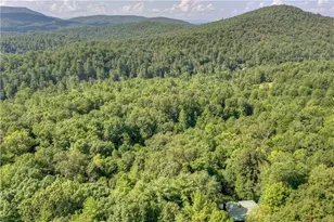 482 N Old Aska Rd, Blue Ridge, GA 30513 - Photo 53