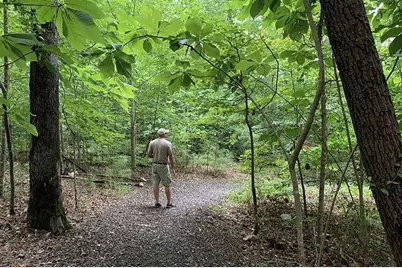 605 Hemlock Trail, Canton, GA 30114 - Photo 45