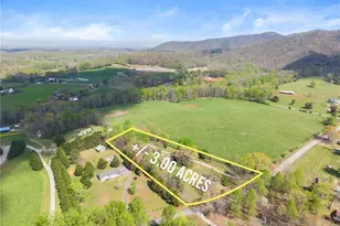 7061 Homer White Rd, Clermont, GA 30527 - Photo 59