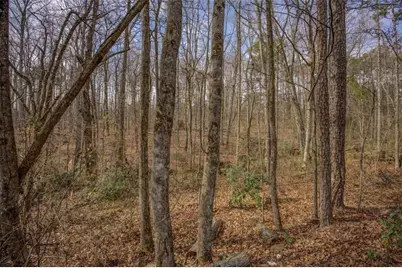 2816 Klondike Road, Conyers, GA 30094 - Photo 45