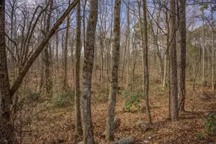 2816 Klondike Rd, Conyers, GA 30094 - Photo 45