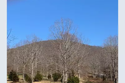 Lot 21 Long Mountain Trail, Cleveland, GA 30528 - Photo 3