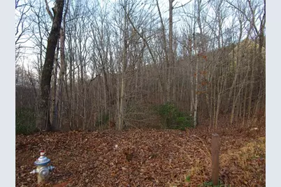 Lot 21 Long Mountain Trail, Cleveland, GA 30528 - Photo 5