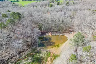 722 Charlie Morris Rd, Colbert, GA 30628 - Photo 71