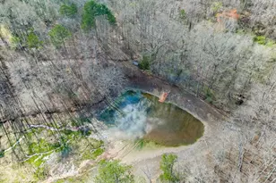 722 Charlie Morris Rd, Colbert, GA 30628 - Photo 69