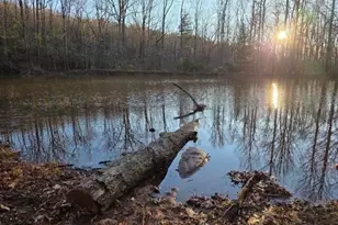 100 Hidden Holw Ln, Dahlonega, GA 30533 - Photo 1