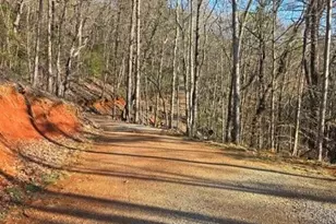 100 Hidden Holw Ln, Dahlonega, GA 30533 - Photo 35