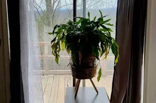 100 Hidden Holw Ln, Dahlonega, GA 30533 - Photo 19