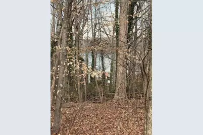 00 Lake Club Drive, Lavonia, GA 30553 - Photo 5