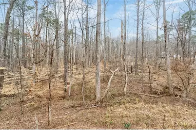 555 Lower Birmingham Road, Canton, GA 30115 - Photo 25