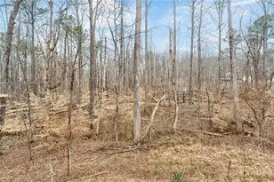 555 Lower Birmingham Rd, Canton, GA 30115 - Photo 25