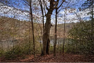 0 Hamlet Court, Ellijay, GA 30540 - Photo 17