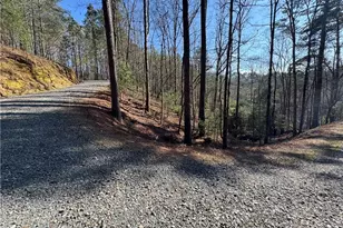 135 Hale Ct, Ellijay, GA 30540 - Photo 47