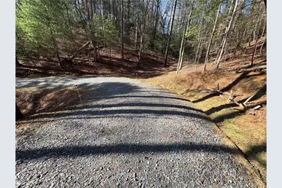 135 Hale Court, Ellijay, GA 30540 - Photo 49