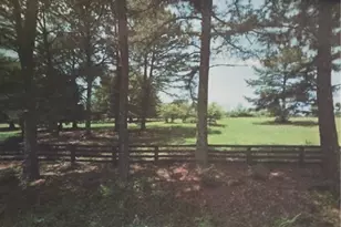 810 Nix Rd, Milton, GA 30004 - Photo 7