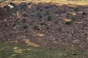 1550 Heatherglade Ln, Lawrenceville, GA 30045 - Photo 45