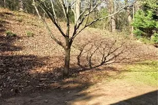 1550 Heatherglade Ln, Lawrenceville, GA 30045 - Photo 47