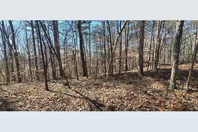 00001 Friendship Trail, Talking Rock, GA 30175 - Photo 7