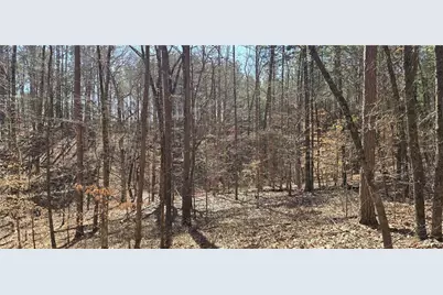 00001 Friendship Trail, Talking Rock, GA 30175 - Photo 3