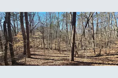 00001 Friendship Trail, Talking Rock, GA 30175 - Photo 1