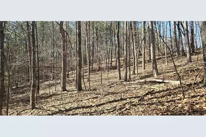 00001 Friendship Trail, Talking Rock, GA 30175 - Photo 11