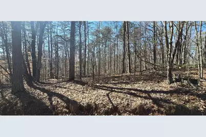 00001 Friendship Trail, Talking Rock, GA 30175 - Photo 5