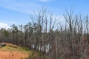 720 Cherokee Rose, Bremen, GA 30110 - Photo 21