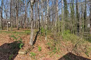 6406 Stoney Creek Ct, Austell, GA 30168 - Photo 23