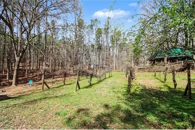 105 Springer Road, Whitesburg, GA 30185 - Photo 25