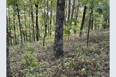 1417 Foxhound Trail NE, Ranger, GA 30734 - Photo 5