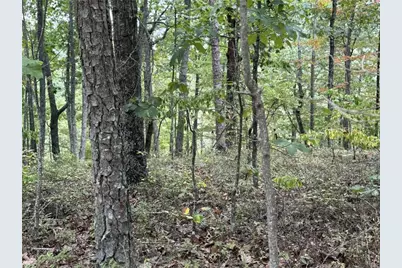 1417 Foxhound Trail NE, Ranger, GA 30734 - Photo 5