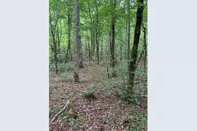 1634 Carman Way, Ranger, GA 30734 - Photo 11