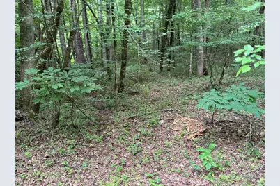 1634 Carman Way, Ranger, GA 30734 - Photo 3