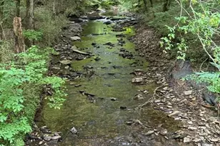 1634 Carman Way, Ranger, GA 30734 - Photo 1