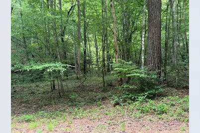 1634 Carman Way, Ranger, GA 30734 - Photo 13