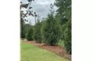 3419 Archerfield Way, Smyrna, GA 30080 - Photo 29