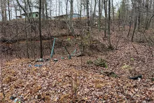 431 Mission Hill Rd, Ellijay, GA 30540 - Photo 21