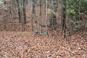 431 Mission Hill Rd, Ellijay, GA 30540 - Photo 19