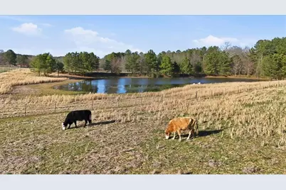 998 Dunn Road, Silver Creek, GA 30173 - Photo 23