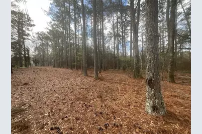 8615 Smith James Road, Snellville, GA 30039 - Photo 17