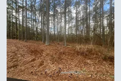 8615 Smith James Road, Snellville, GA 30039 - Photo 15