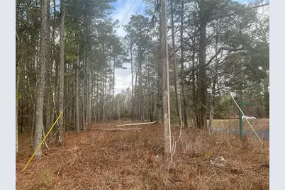 8615 Smith James Road, Snellville, GA 30039 - Photo 25