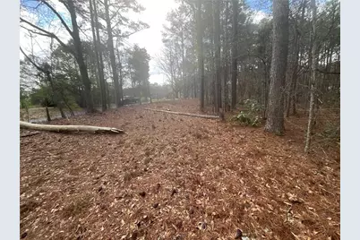 8615 Smith James Road, Snellville, GA 30039 - Photo 19