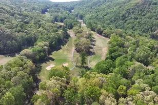 334 Lake View Trace, Jasper, GA 30143 - Photo 67