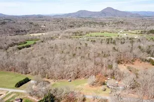 1268 River Bend Rd, Demorest, GA 30535 - Photo 41