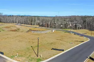 115 Cedar Crst Ln, Dawsonville, GA 30534 - Photo 113