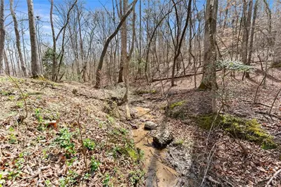 3710 Pebble Creek Point, Gainesville, GA 30506 - Photo 31