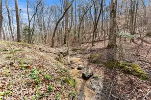 3710 Pebble Creek Point, Gainesville, GA 30506 - Photo 31